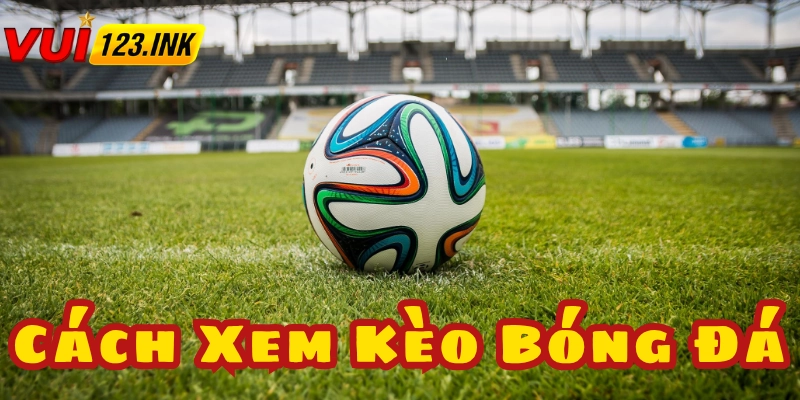 Quả bóng gắn liền với các tỷ lệ kèo tại các nhà cái