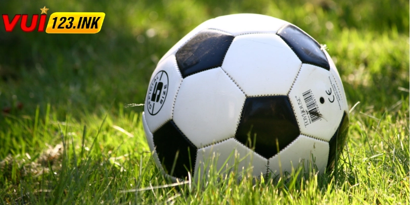 Các cầu thủ chiến đấu hết mình phục vụ khán giả đam mê